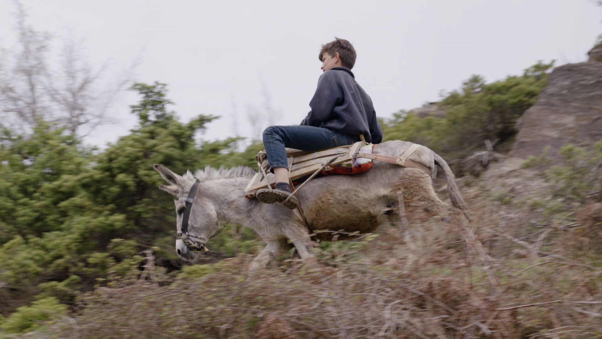 Más allá de las montañas de Acrocero